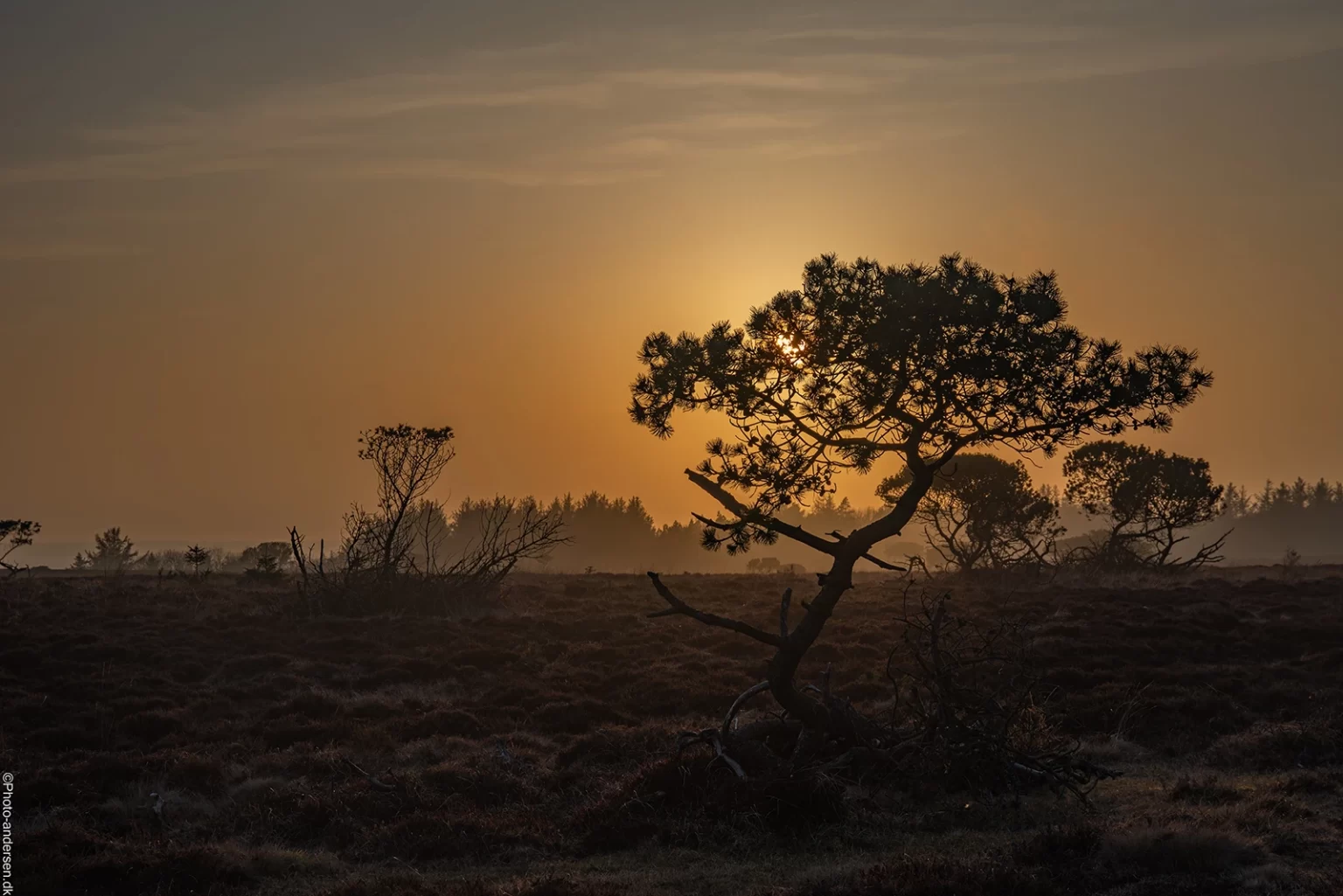 Marbækområdet i solnedgangen
