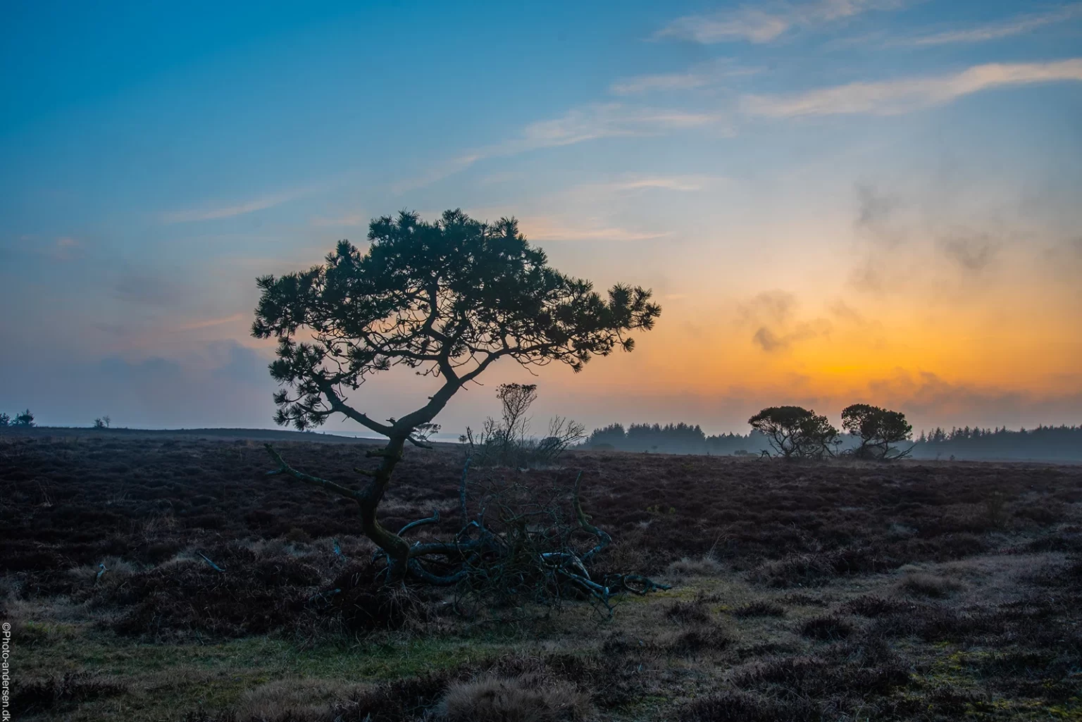 Marbækområdet i solnedgangen
