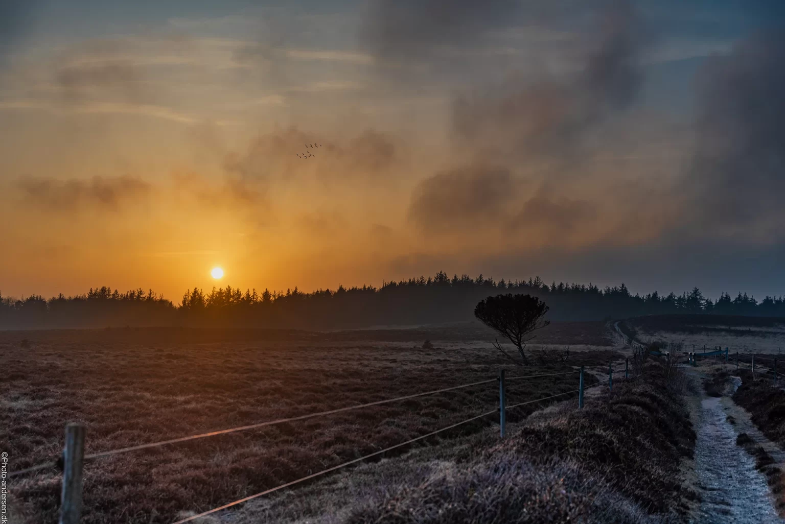 Marbækområdet i solnedgangen