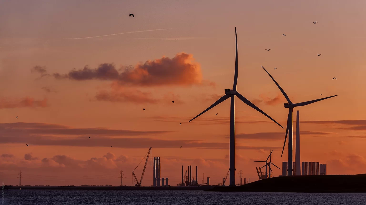 Nogle af verdens største vindmøller med en totalhøjde på 200 meter står ved Esbjerg. Her ses de i solnedgangen