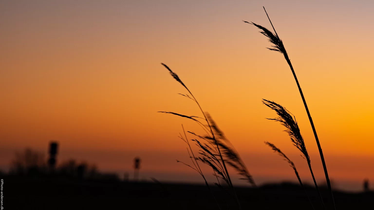 Sivene imens solen dypper sig langsomt i et blidt, varmt skær. Himlen oplyses af det sidste lys fra dagens krusninger, og aftenens magi begynder at udfolde sig.
