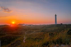 I solnedgangen ved Nørrelyngvild Fyr, Hvide Sande, Danmark kan du forvente en smuk og stemningsfuld oplevelse. Når solen nærmer sig horisonten, vil himlen blive fyldt med varme farver som orange, gyldne nuancer.