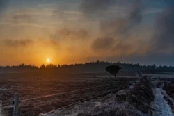 Marbækområdet i solnedgangen
